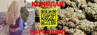 a pvp Будённовск