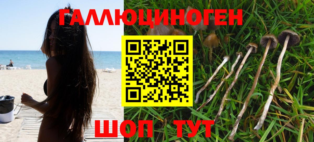 Галлюциногенные грибы прущие грибы Кондопога