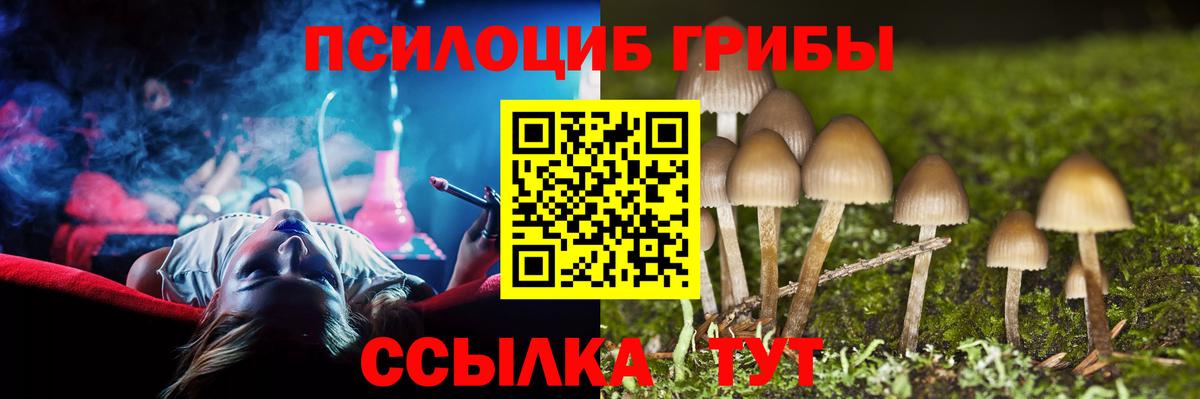 где можно купить наркотик  Псилоцибиновые грибы Cubensis  Вход с VPN  Псилоцибиновые грибы мухоморы  Кондопога 